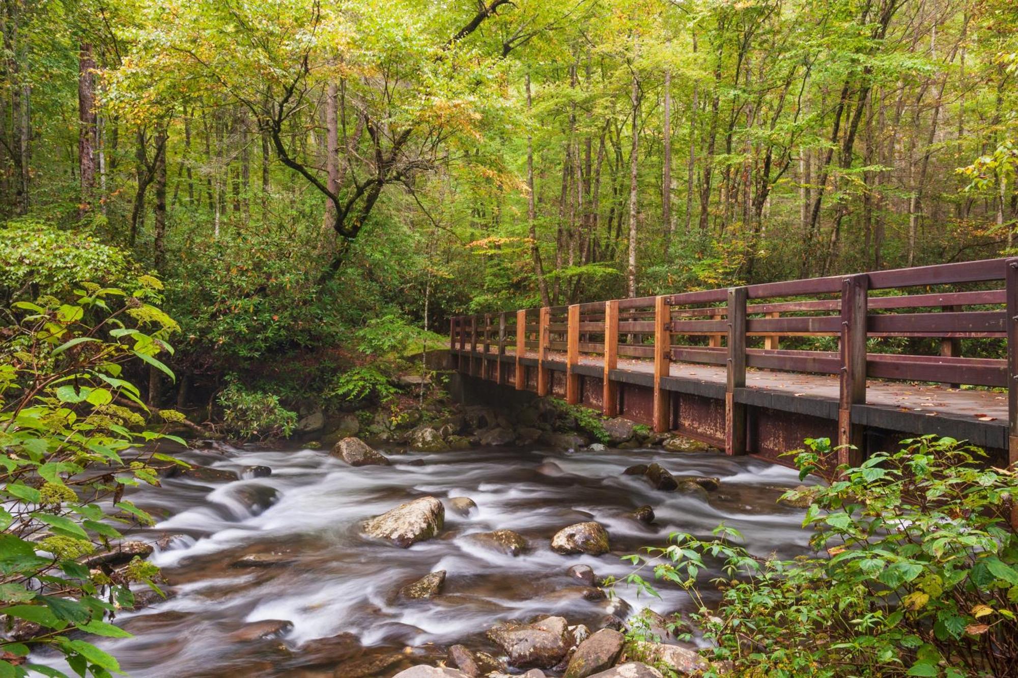 A Higher Calling, 1089 Of Free Area Attraction Tickets For Each Paid Day, Dollywood And More! 鸽子谷 外观 照片